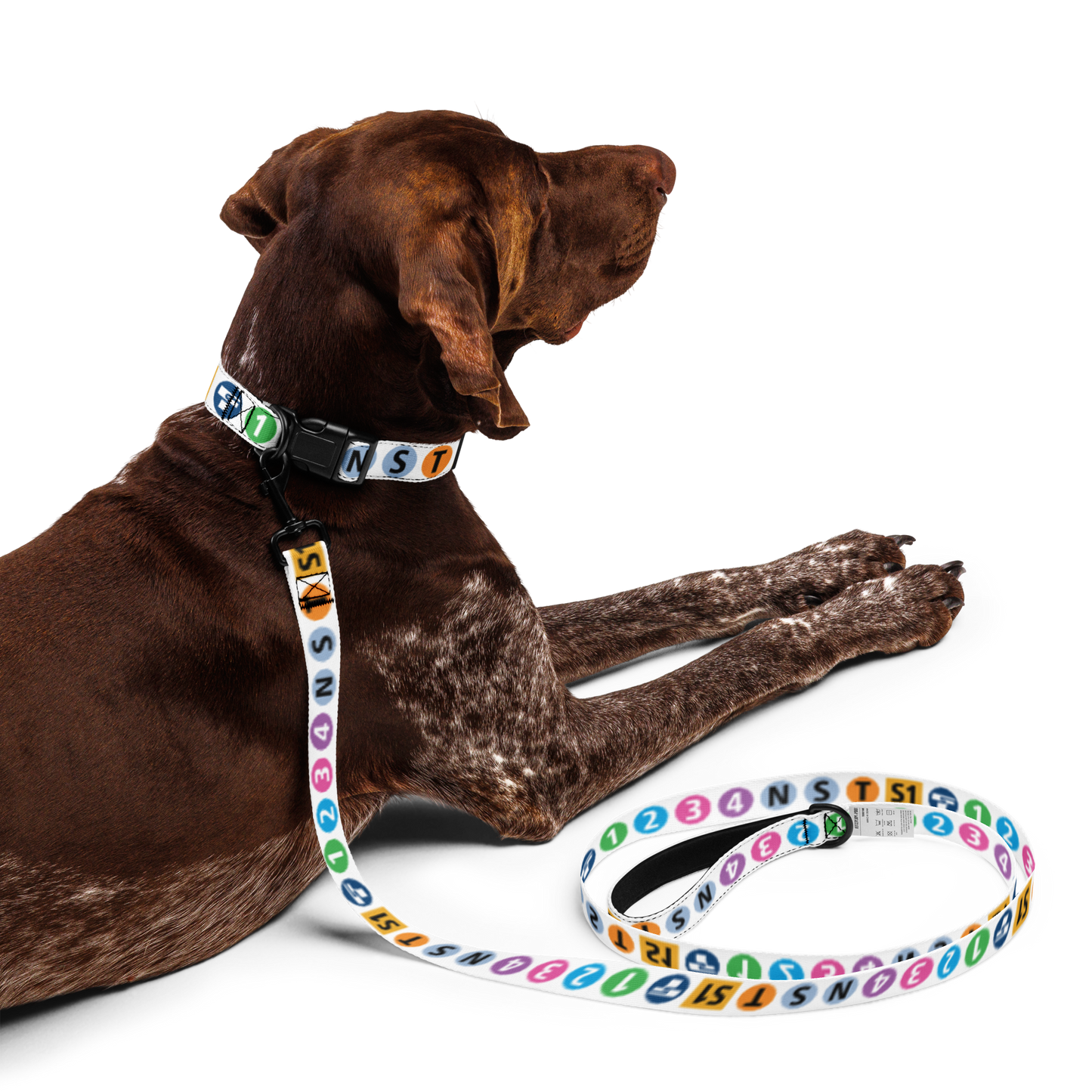Icon Dog Collar & Leash