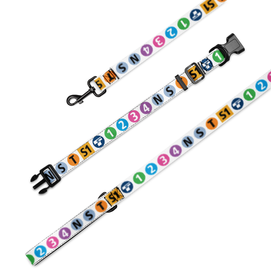 Icon Dog Collar & Leash