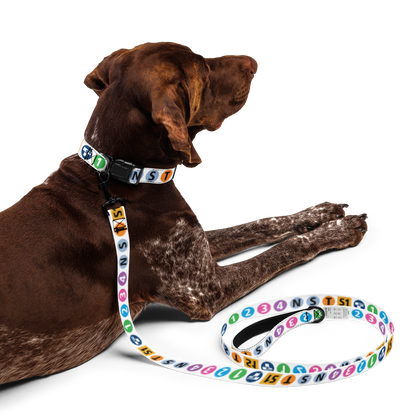Icon Dog Collar & Leash
