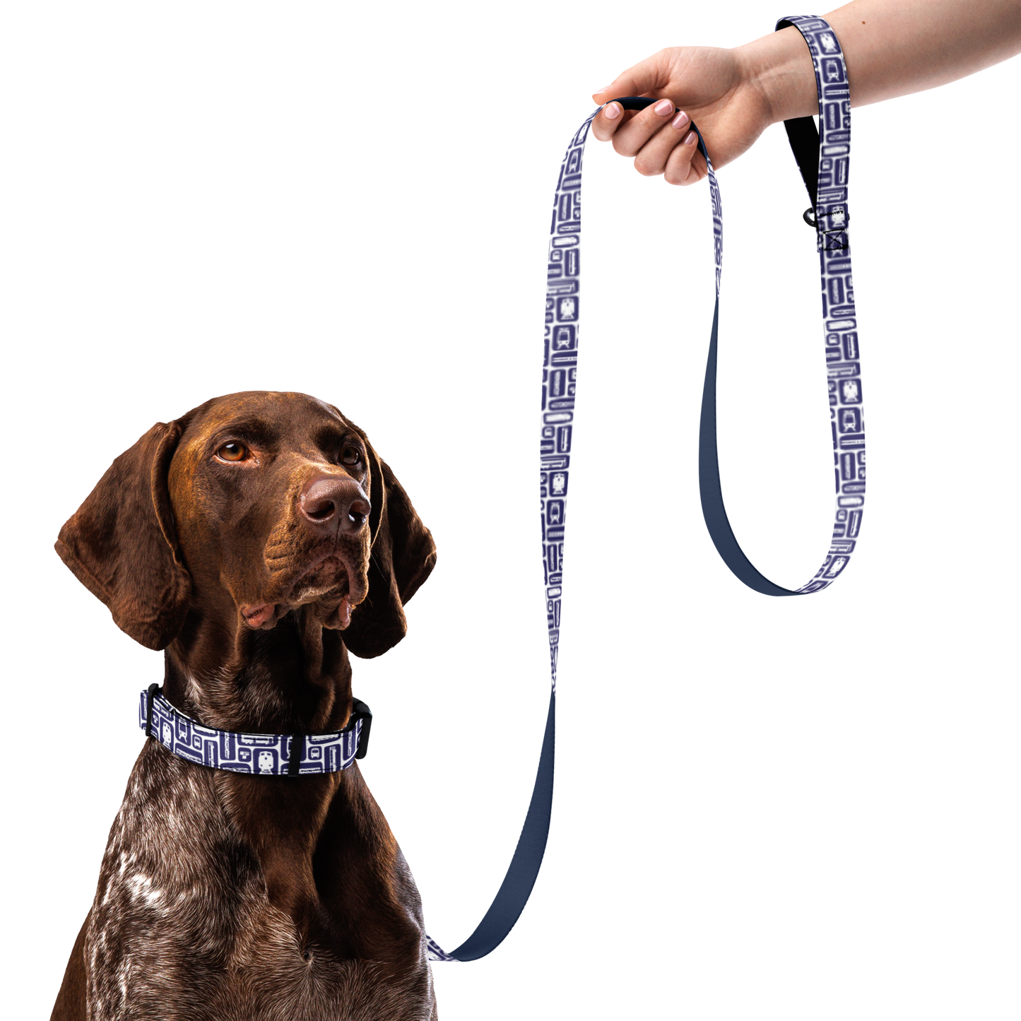 Fleet Dog Collar & Leash