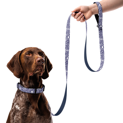 Fleet Dog Collar & Leash